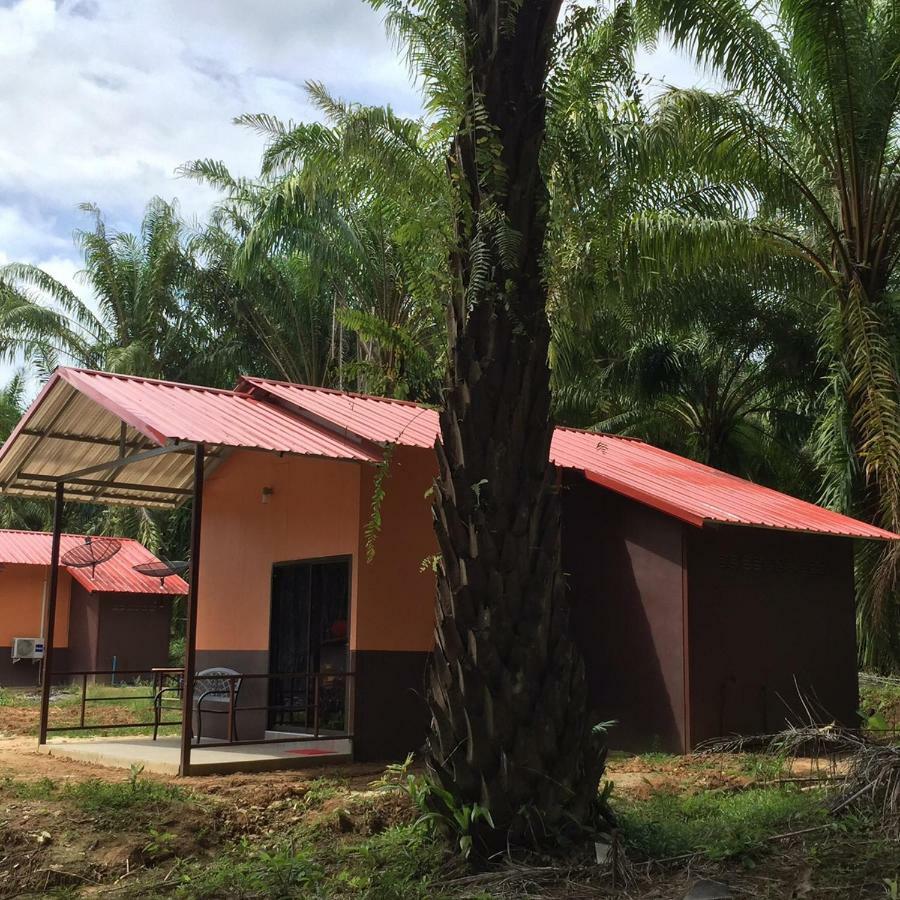 Khao Sok Evergreen House Khao Sok National Park Buitenkant foto