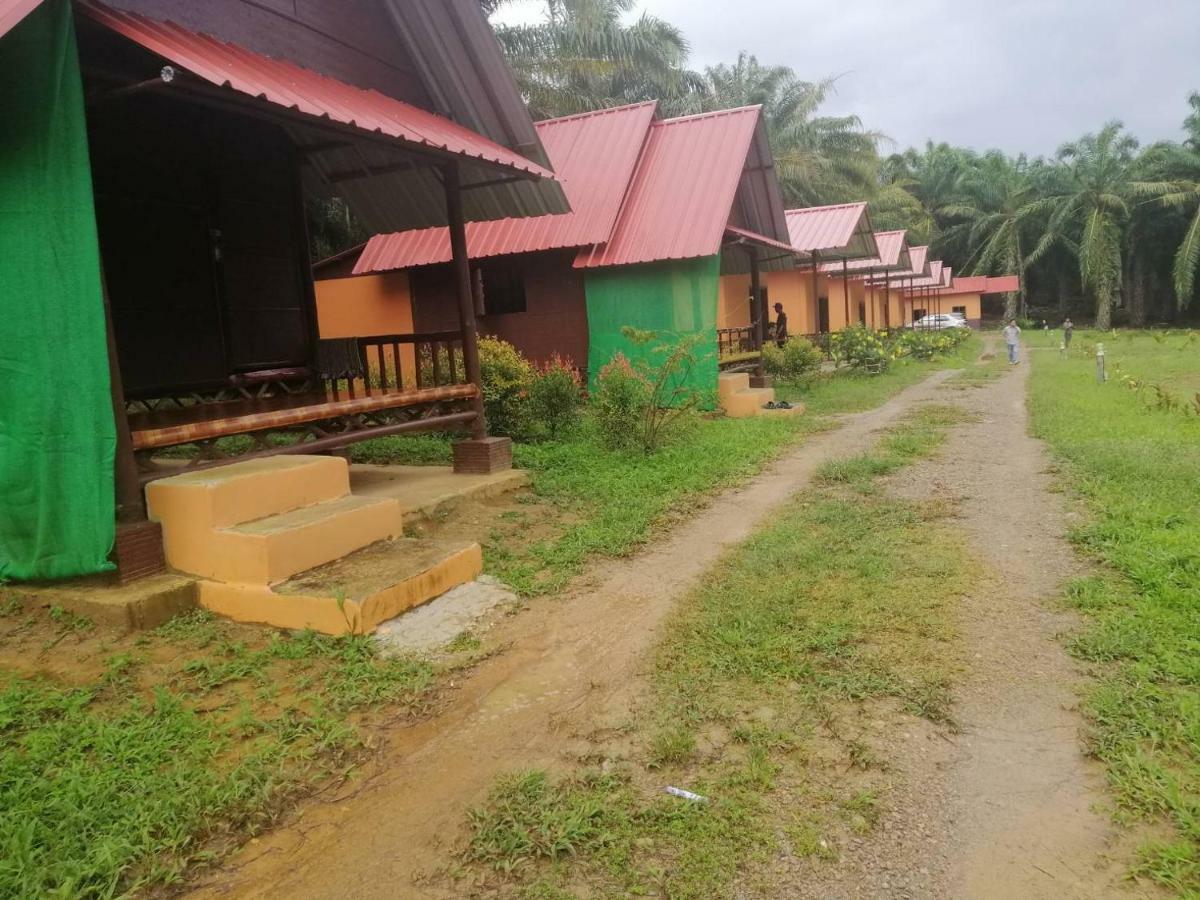 Khao Sok Evergreen House Khao Sok National Park Buitenkant foto