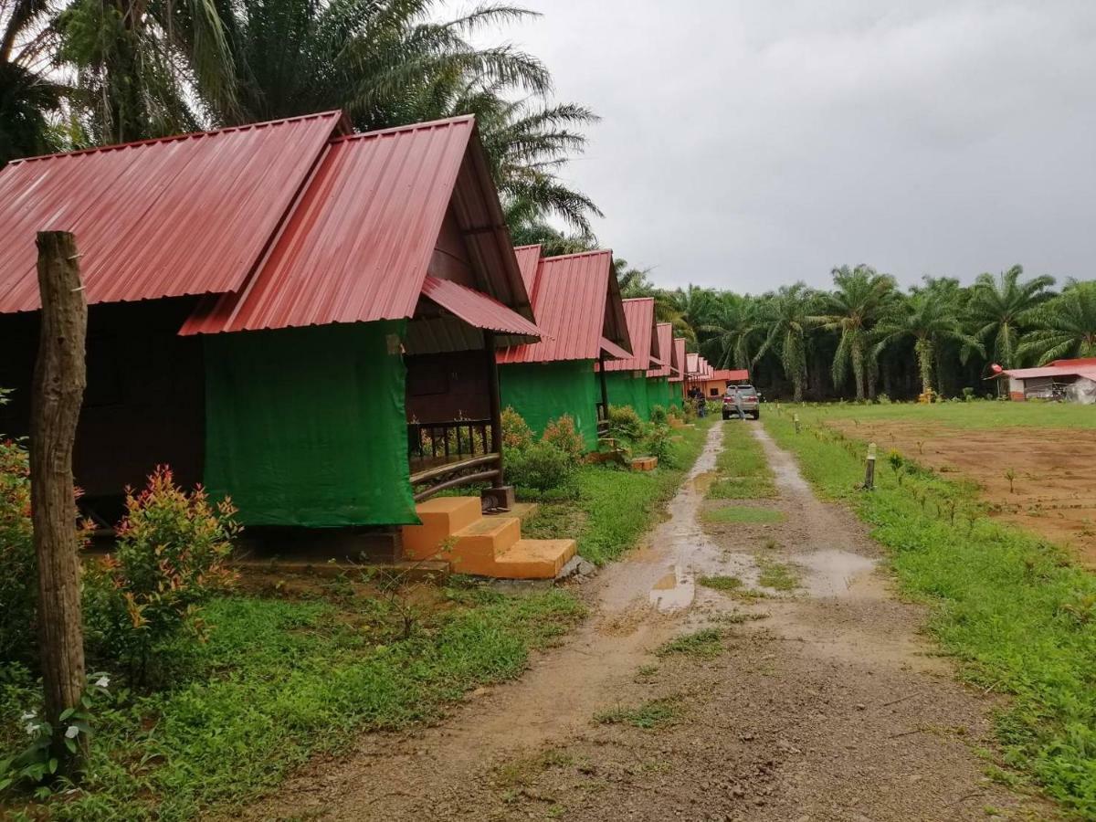 Khao Sok Evergreen House Khao Sok National Park Buitenkant foto