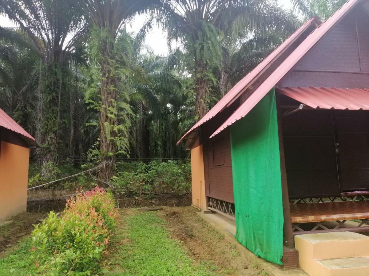 Khao Sok Evergreen House Khao Sok National Park Buitenkant foto