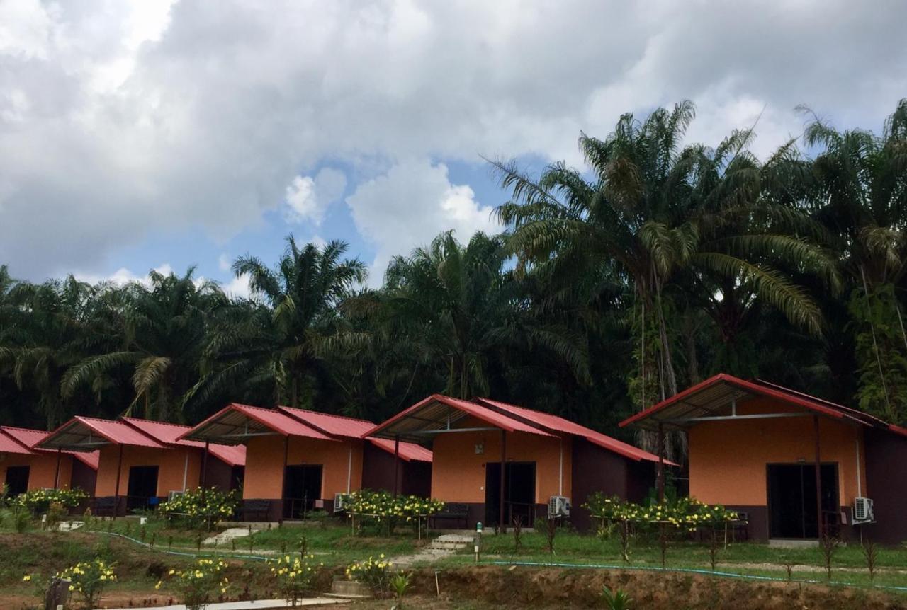 Khao Sok Evergreen House Khao Sok National Park Buitenkant foto